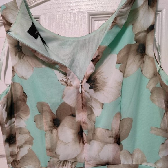 Laura Petite size 4P sleeveless zipper back dress. Floral pattern - Picture 5 of 7